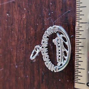 Sterling Silver Niagara Falls Charm